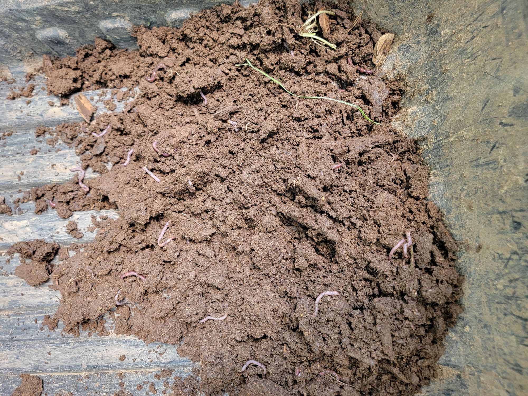 Understanding Soil Chemistry for Plant Growth