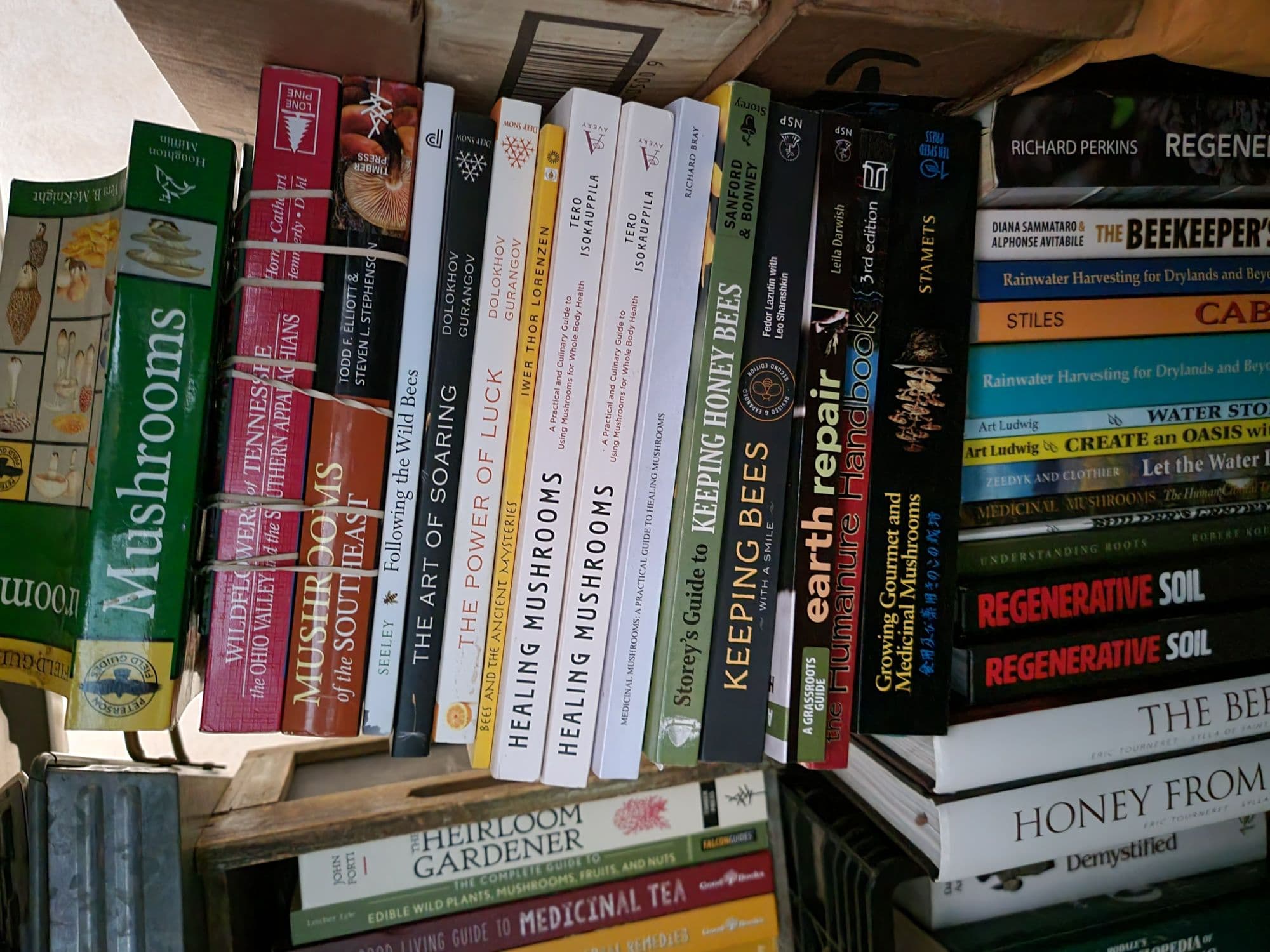 Understanding Soil-Plant Relationships