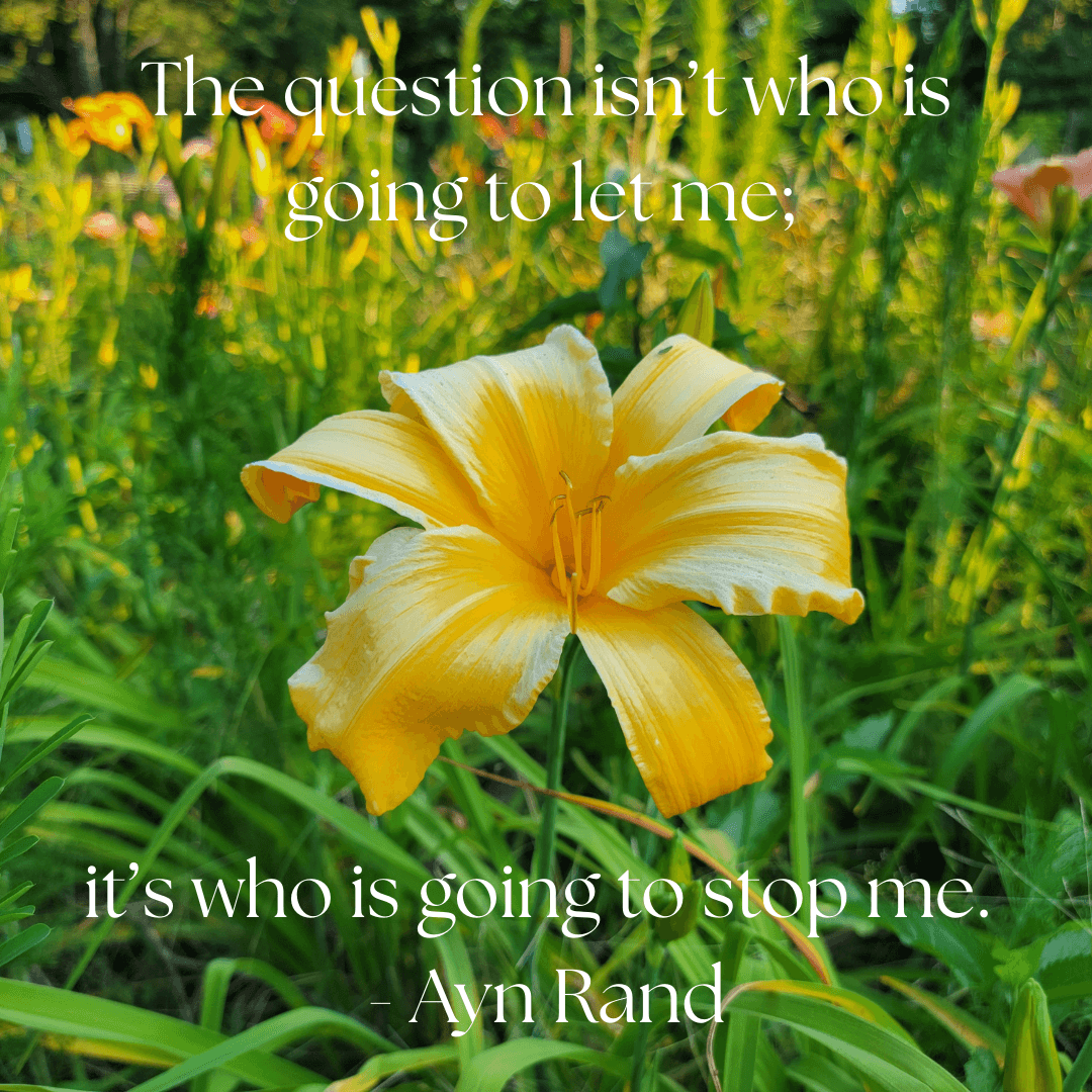 Demystifying Menopause Transitions