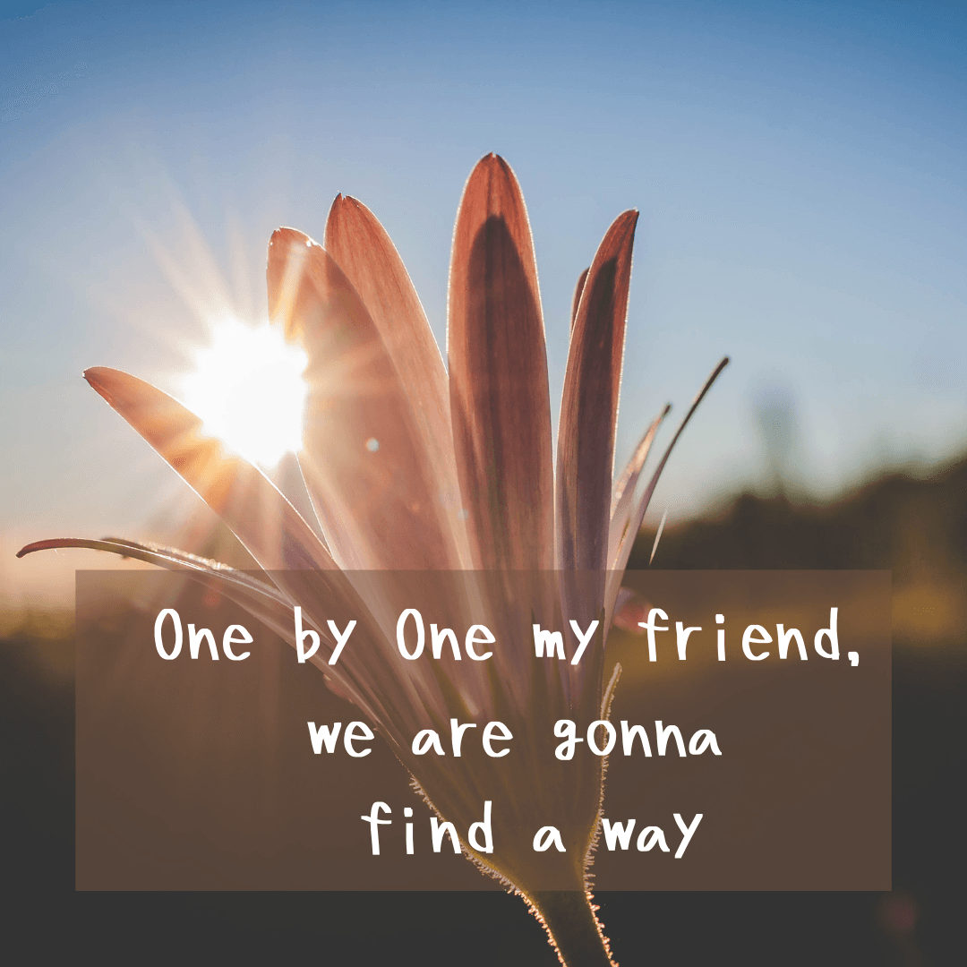 Understanding Menopause Phases