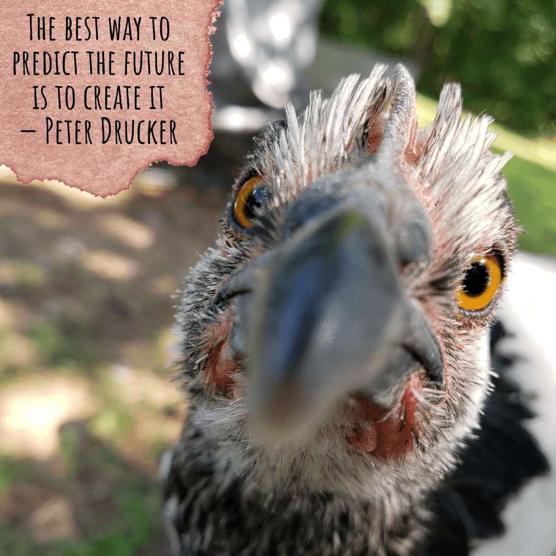 Understanding Developmental Transitions