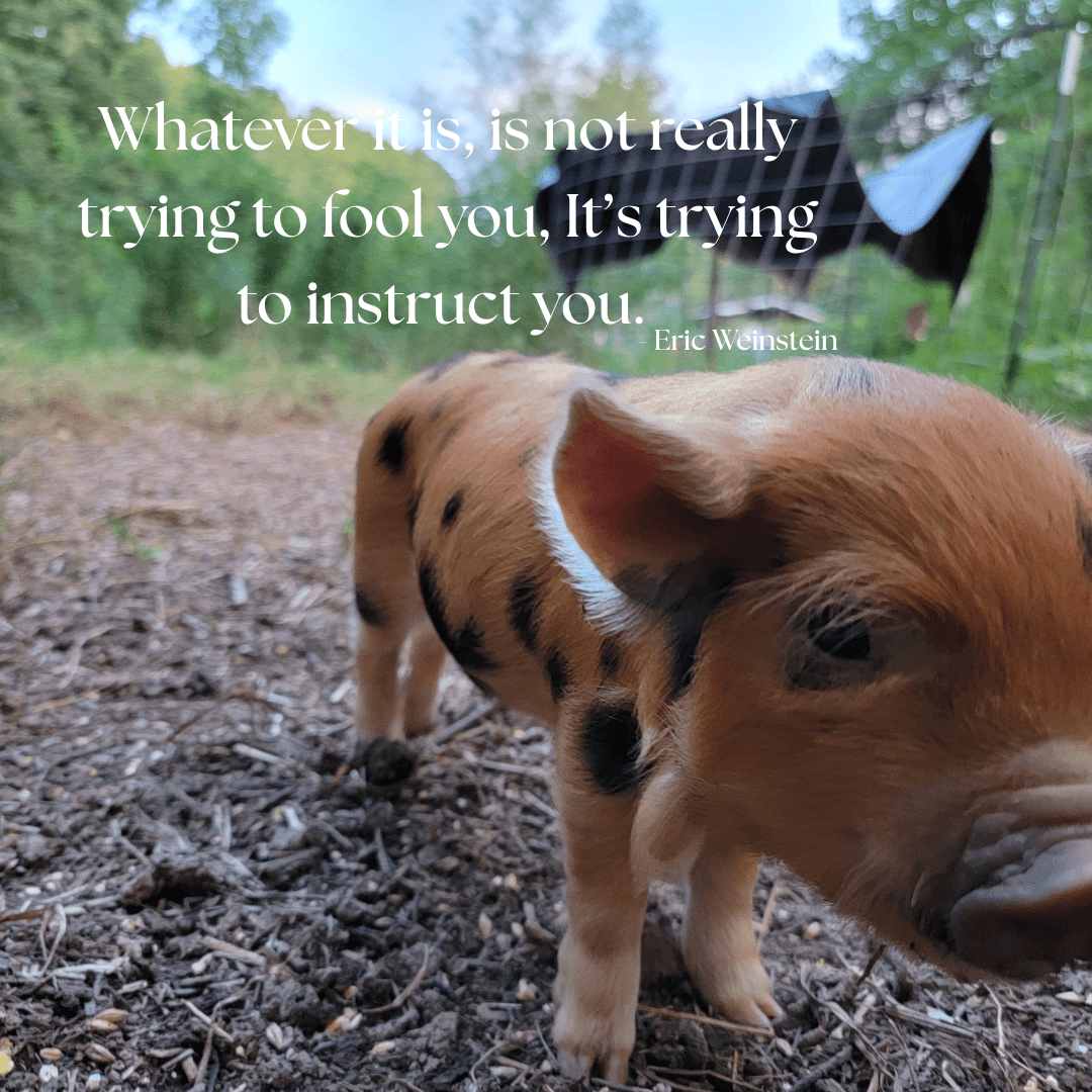 Ancient Wisdom in Modern Farming