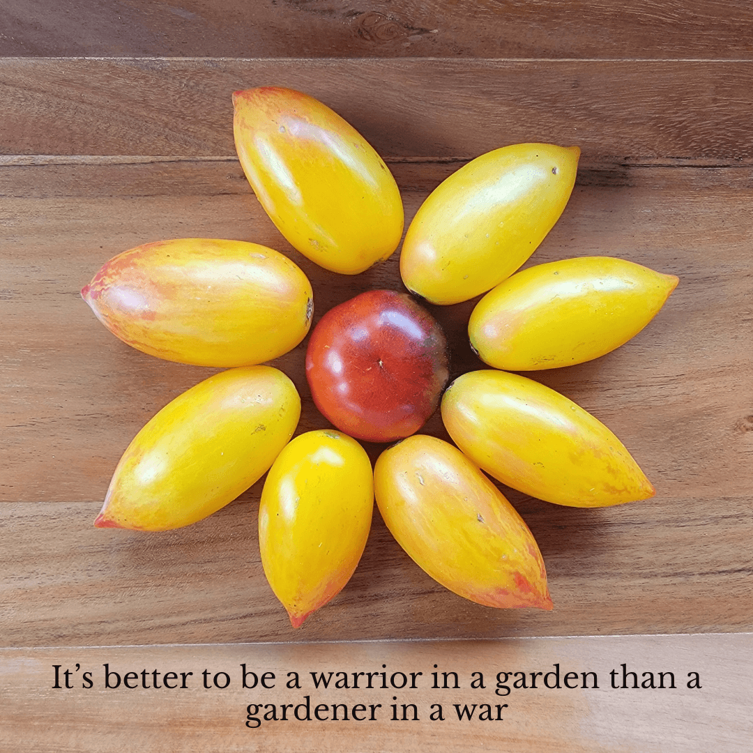 Shift to Chemical Agriculture