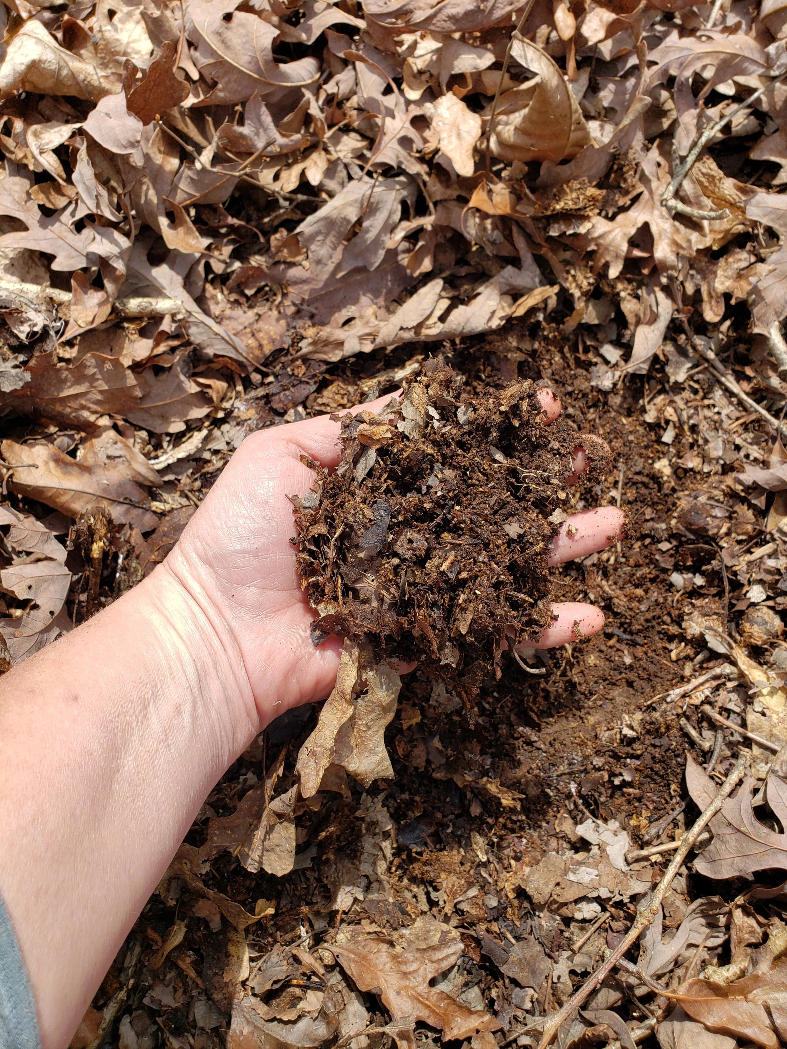 Working with the Microbial Web