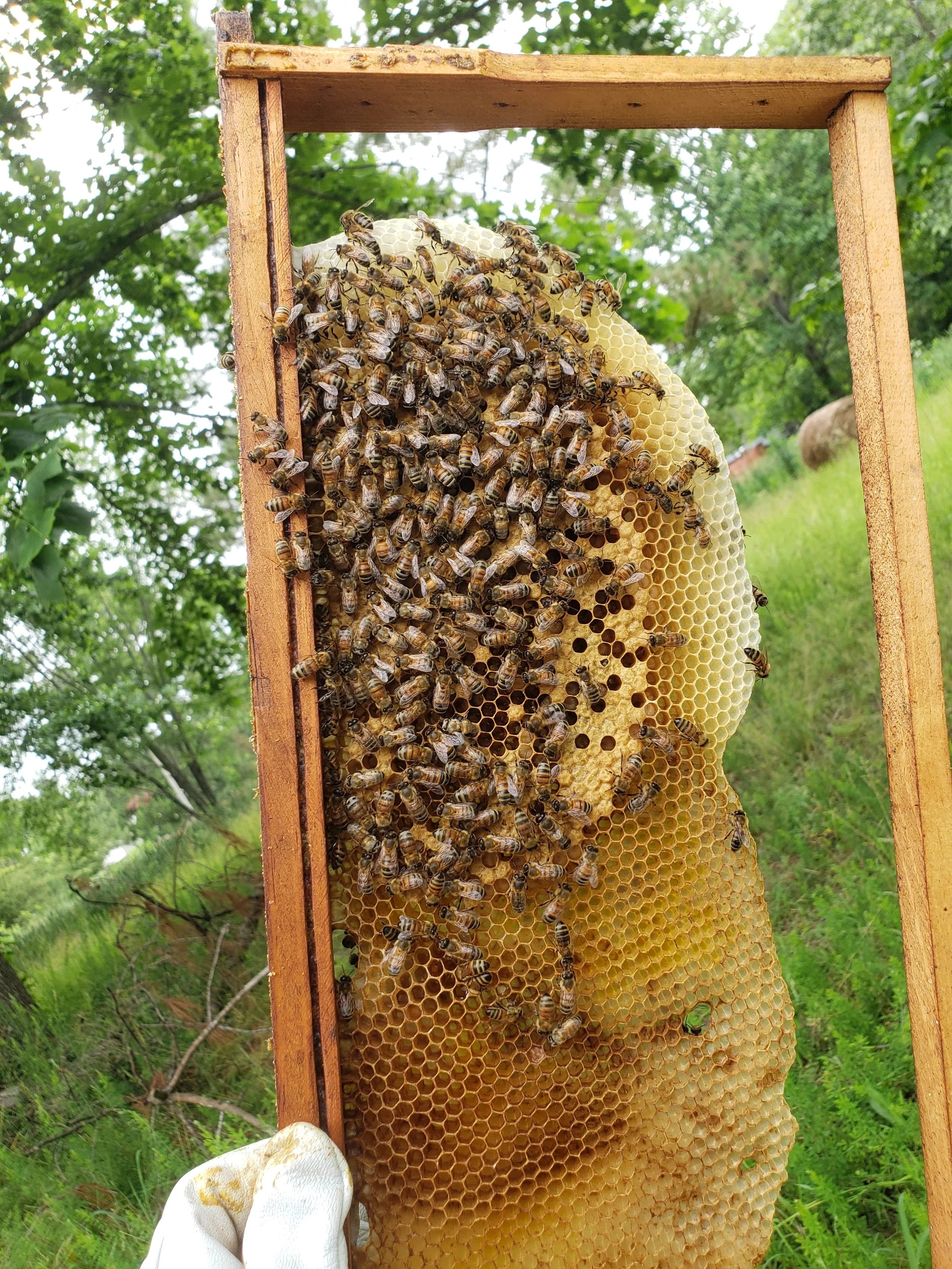 Hydration, Kidney Health, and a Pinch of Sea Salt