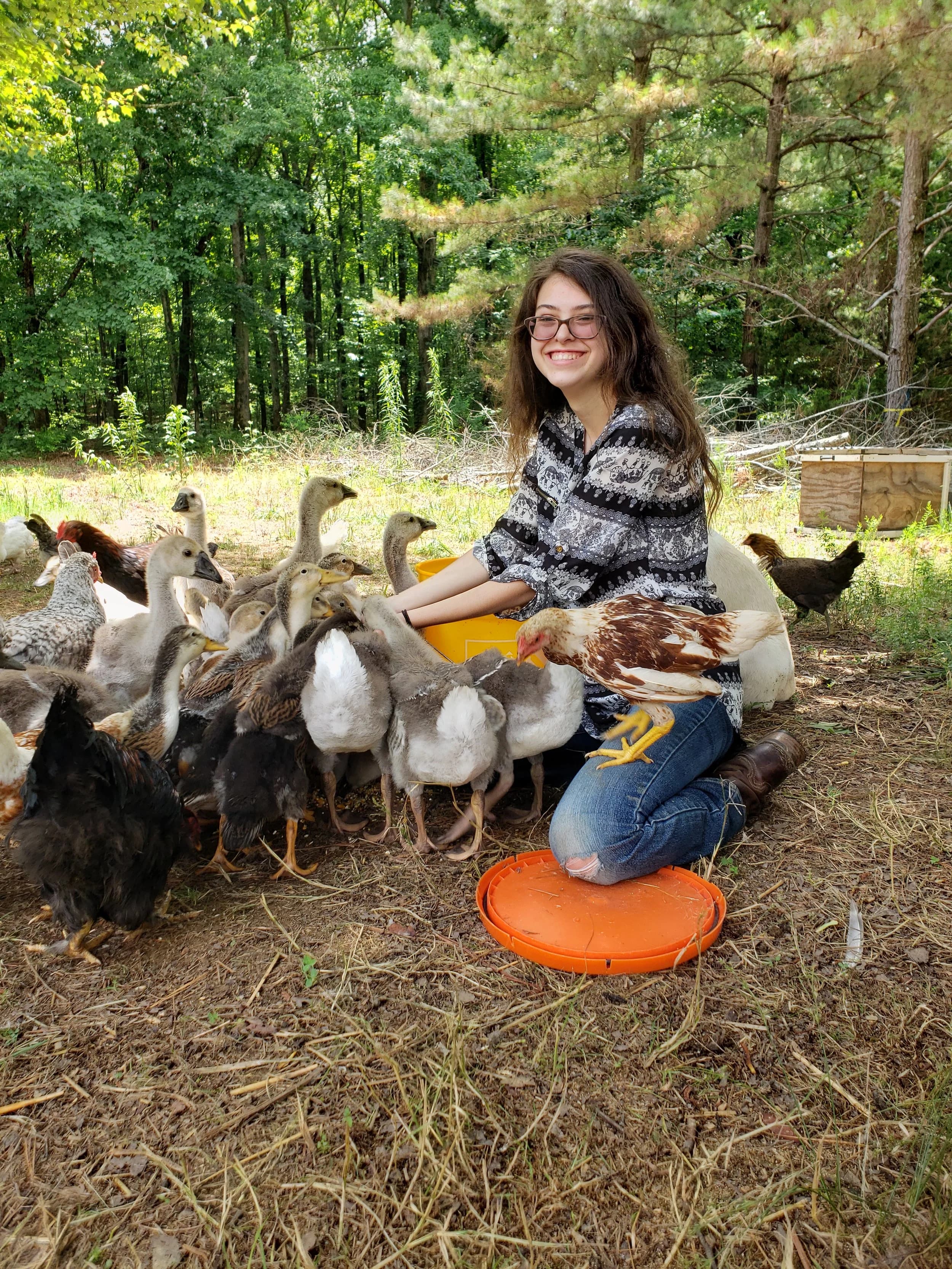 Do Ducks Really Need Vitamins?