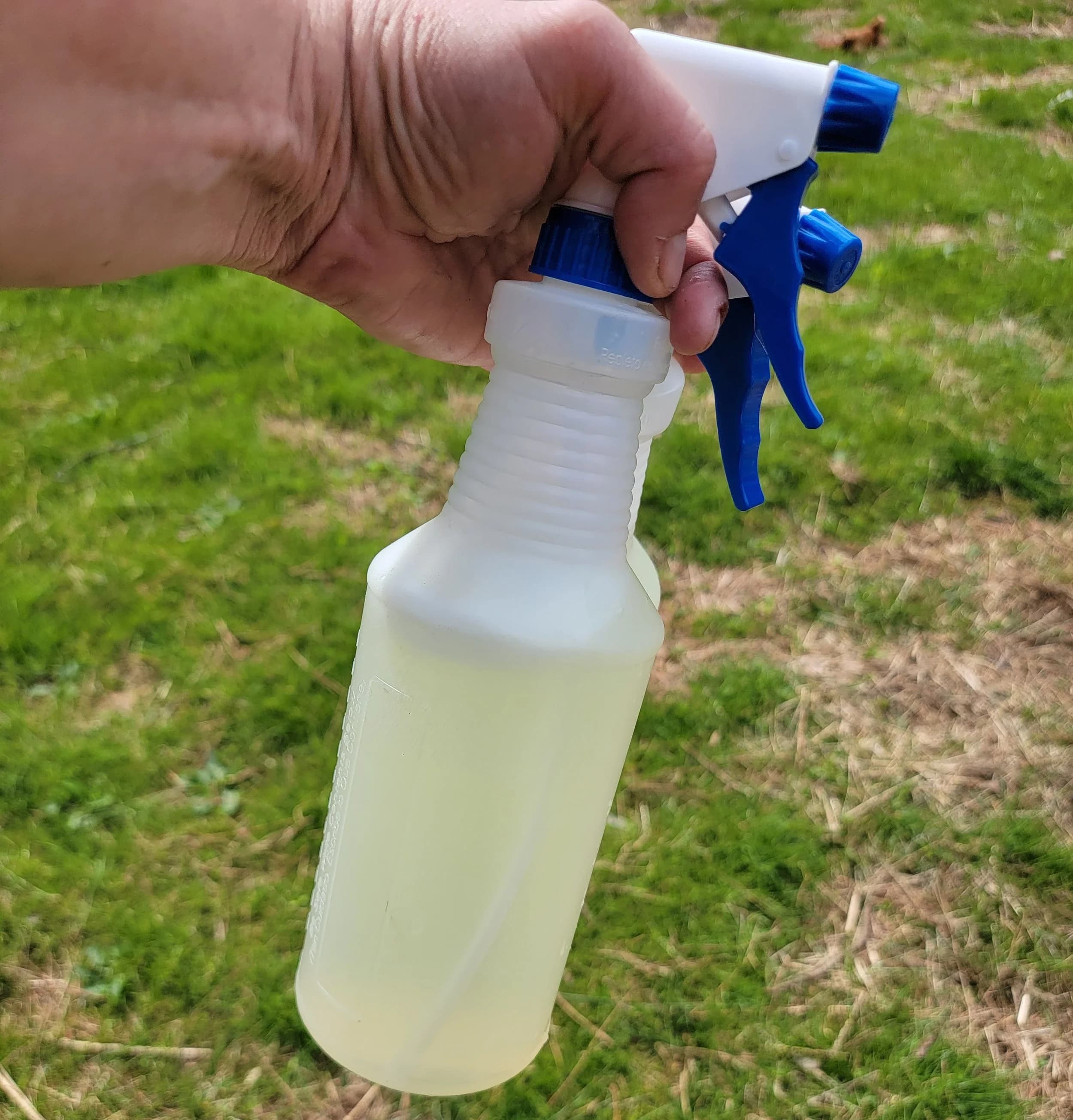 Naturally Repel Ants