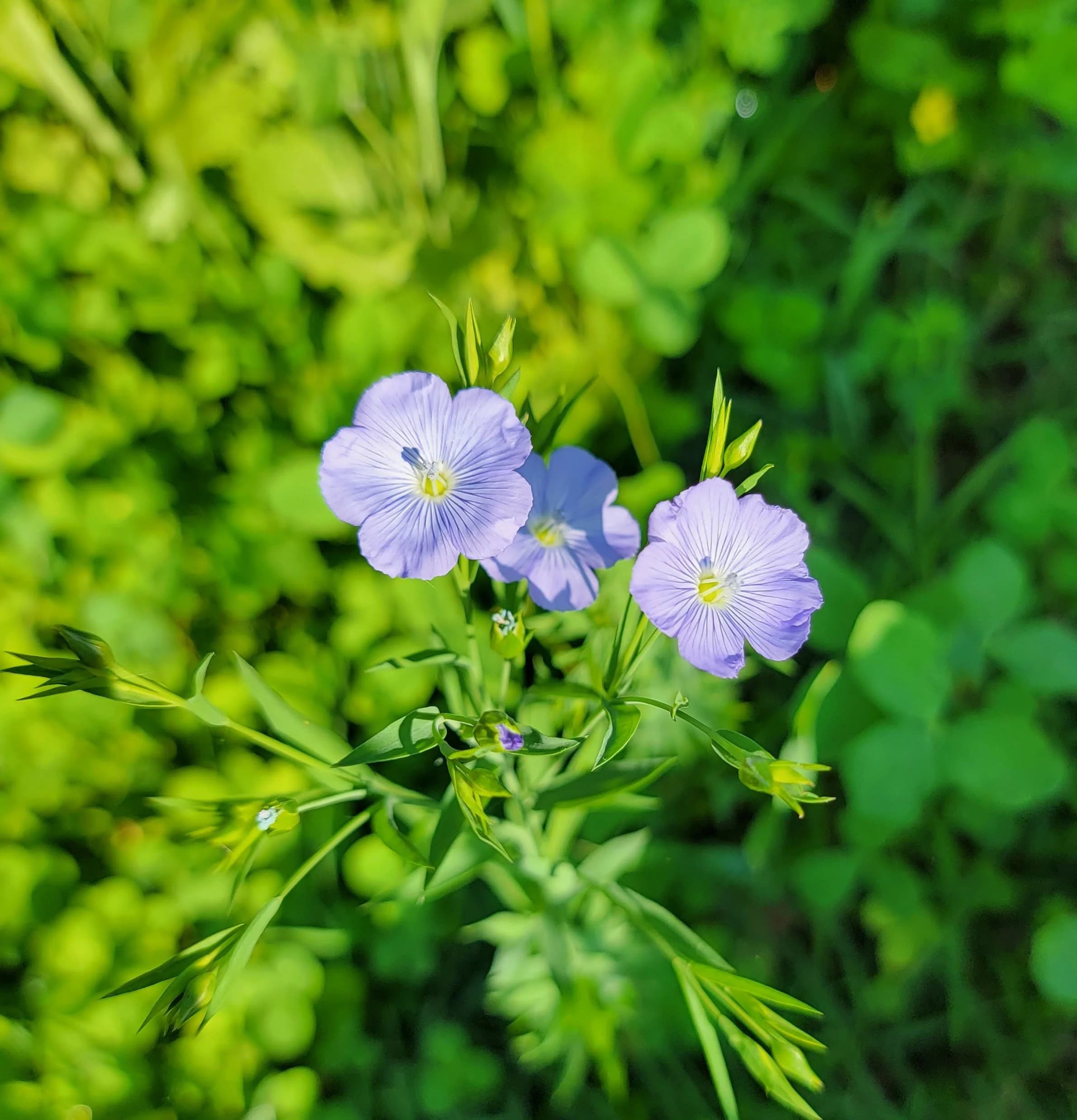 Let’s Talk About Reactive / Post-Infectious Arthritis