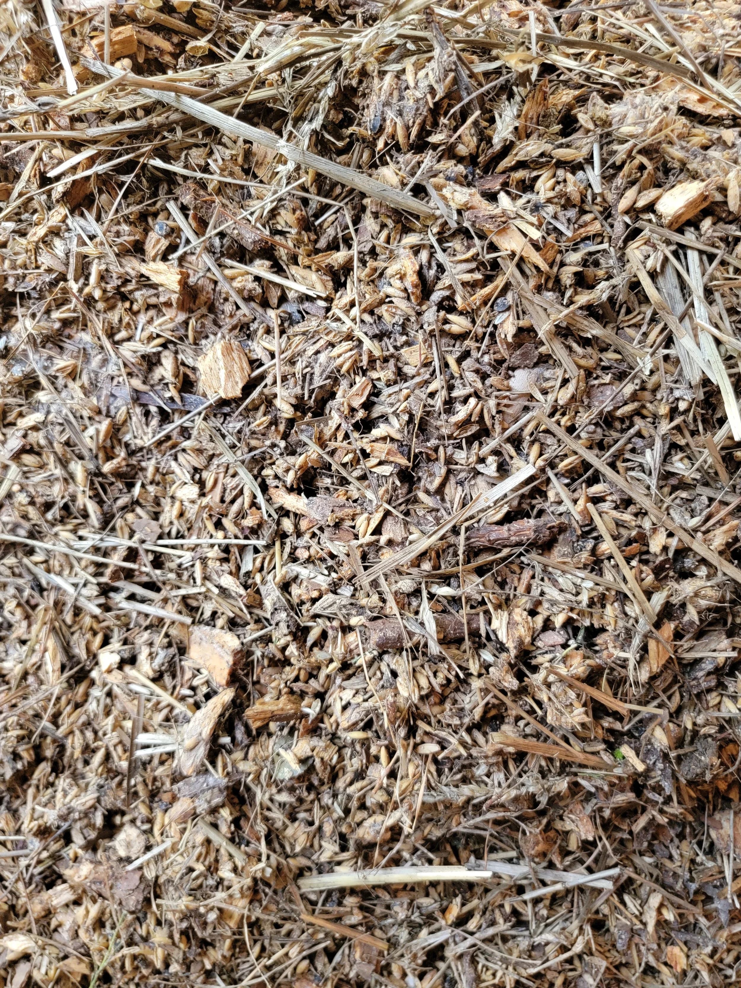 IMO Field Strategies