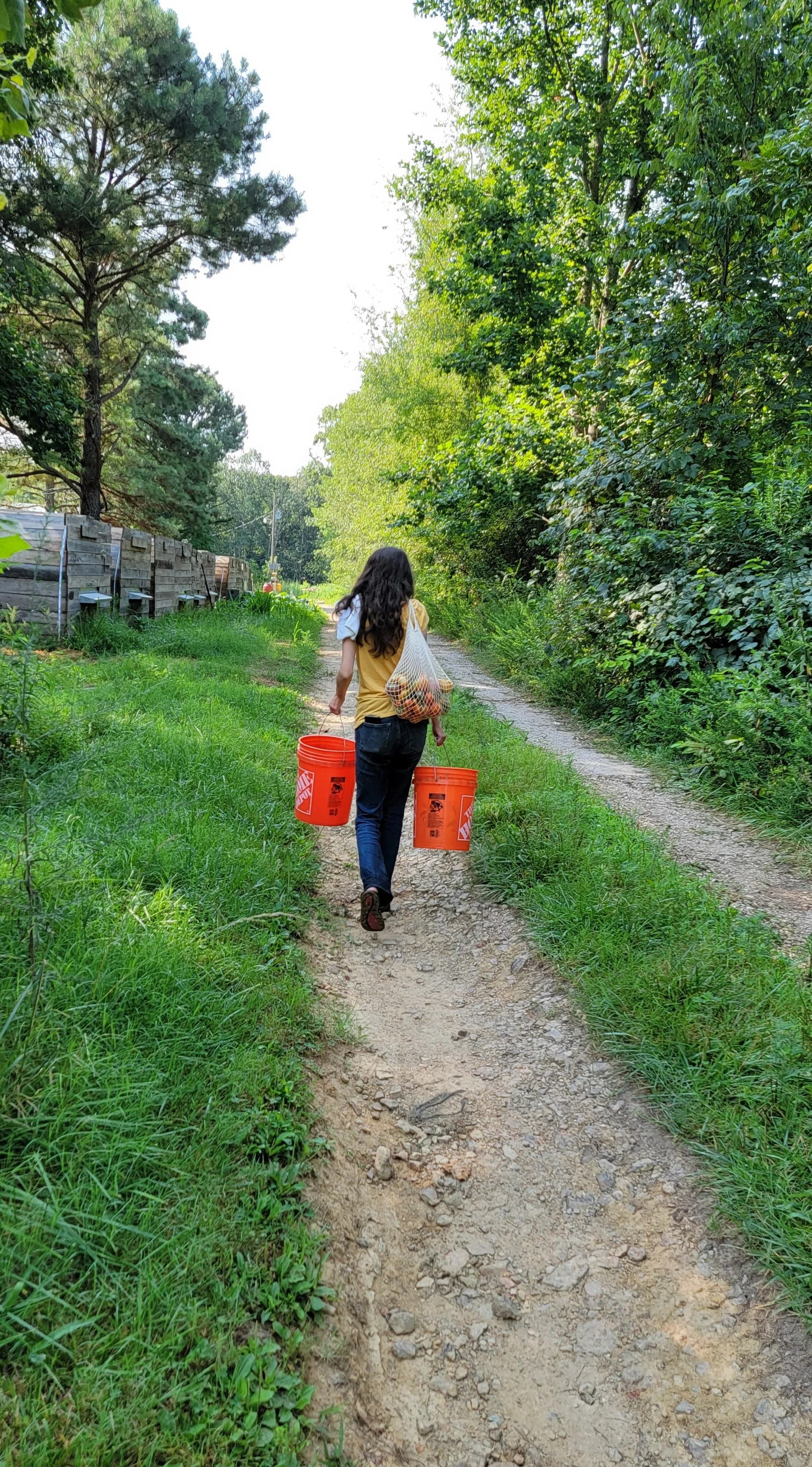 Rebuilding Local Food Systems