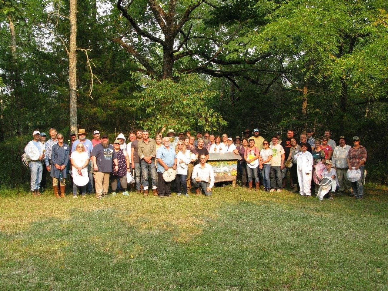 Natural Beekeeping Resources: Books and Magazine