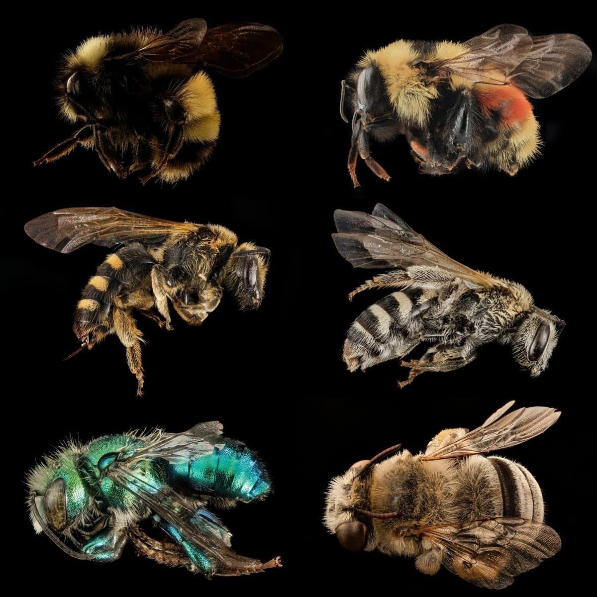 The fruit or NO FRUIT? of our labor! 