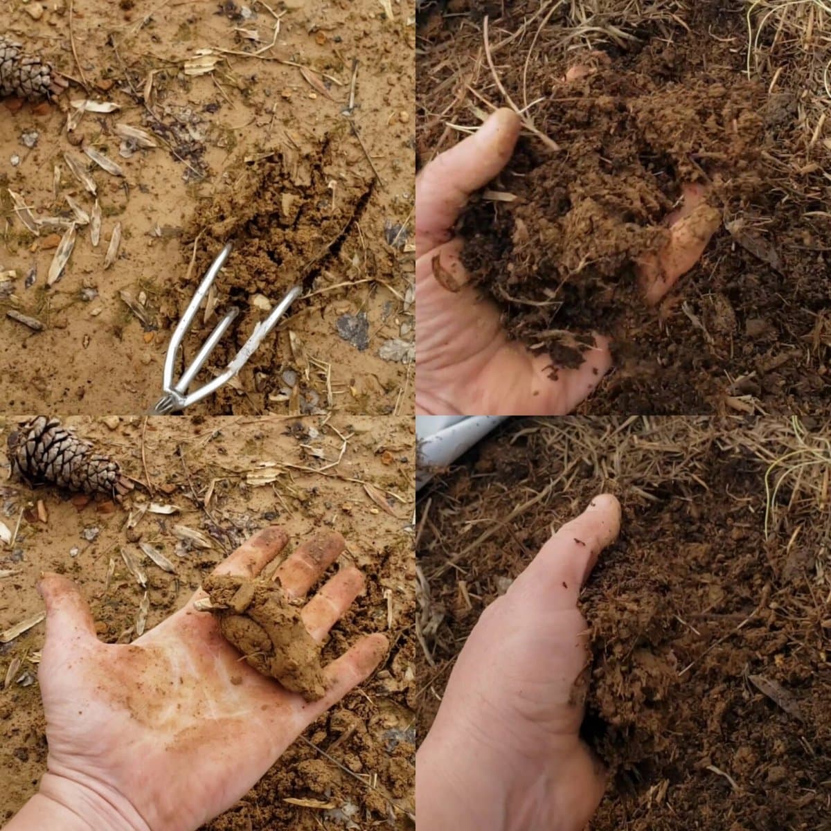 Manifesting soil for the garden