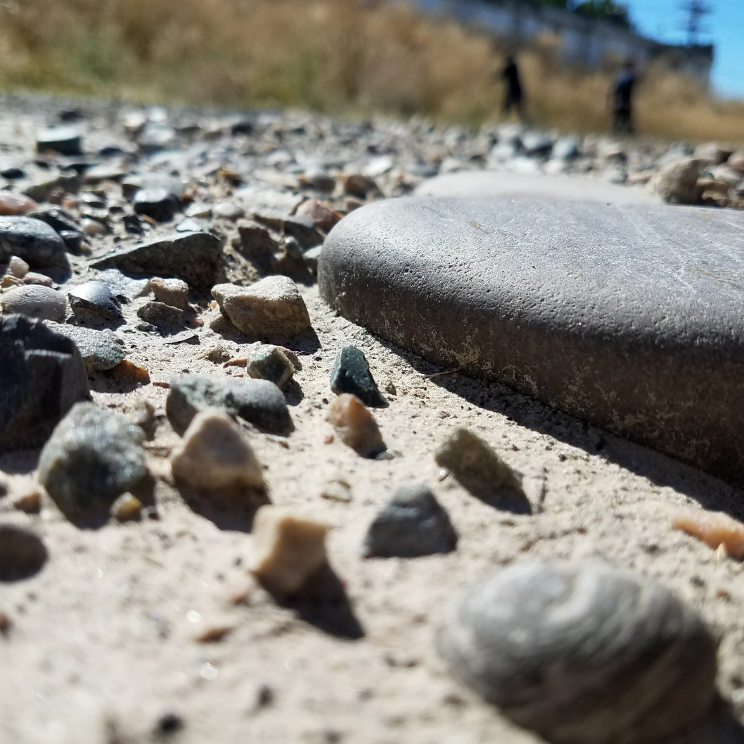 Julius Hensel's Mineral Agriculture