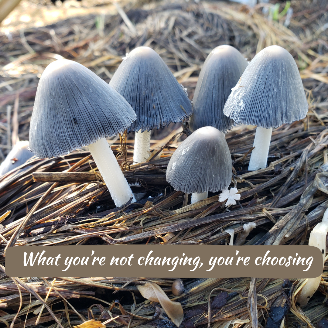 Sulfur in Agriculture