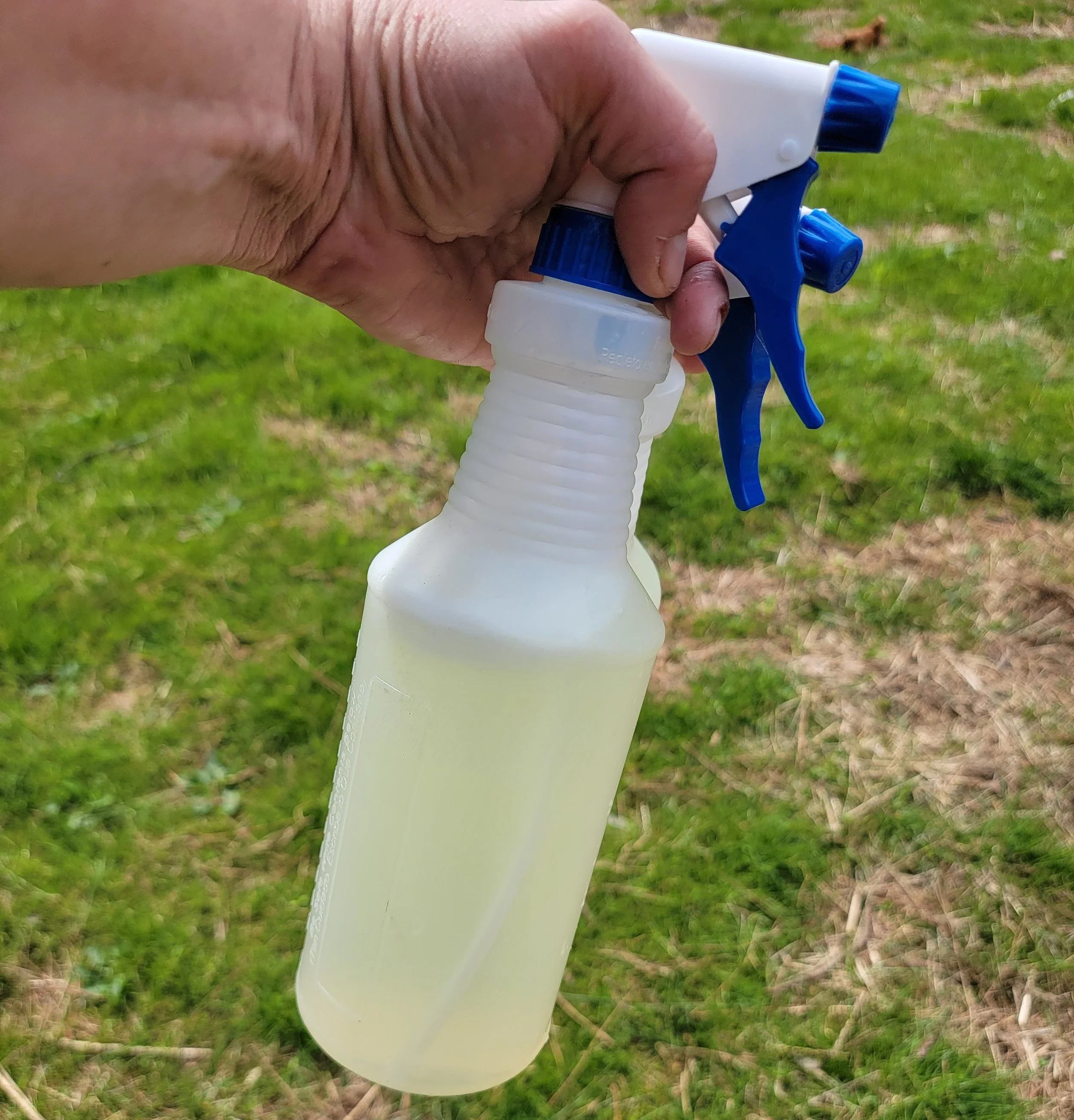 Naturally Repel Ants